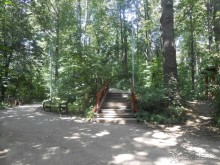 Прогулка по заказнику