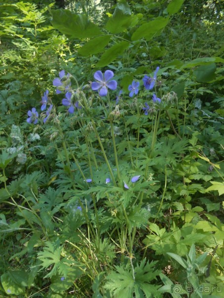 Прогулка по заказнику