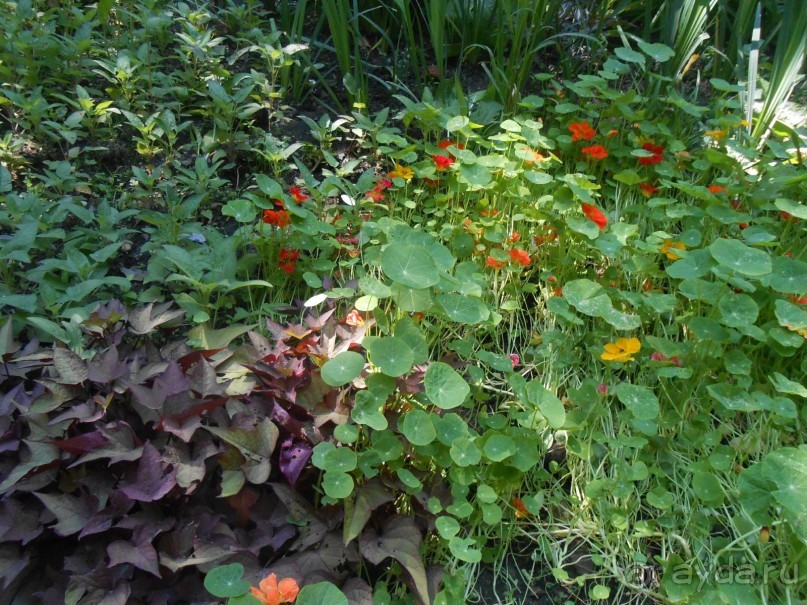 Прогулка по заказнику