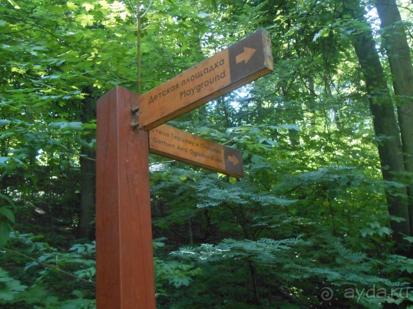 Прогулка по заказнику