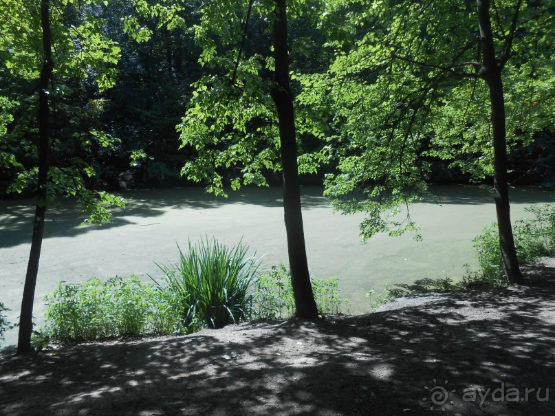 Прогулка по заказнику