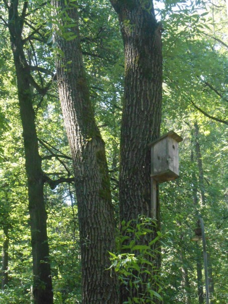 Прогулка по заказнику