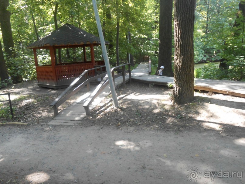 Прогулка по заказнику