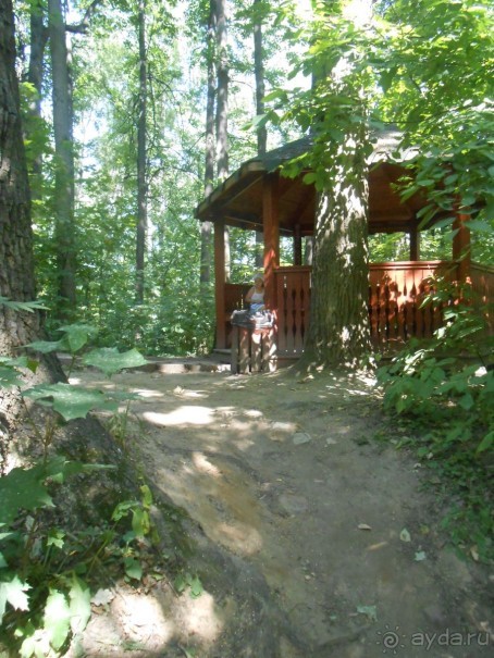 Прогулка по заказнику