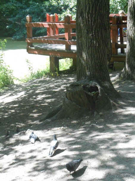 Прогулка по заказнику