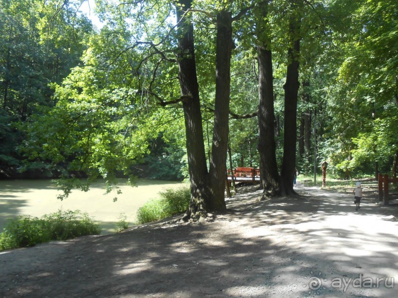 Прогулка по заказнику