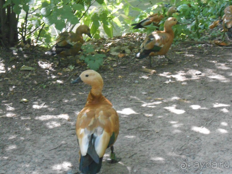 Прогулка по заказнику