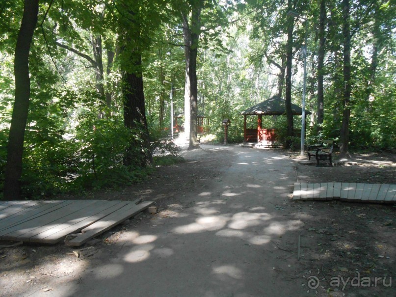 Прогулка по заказнику