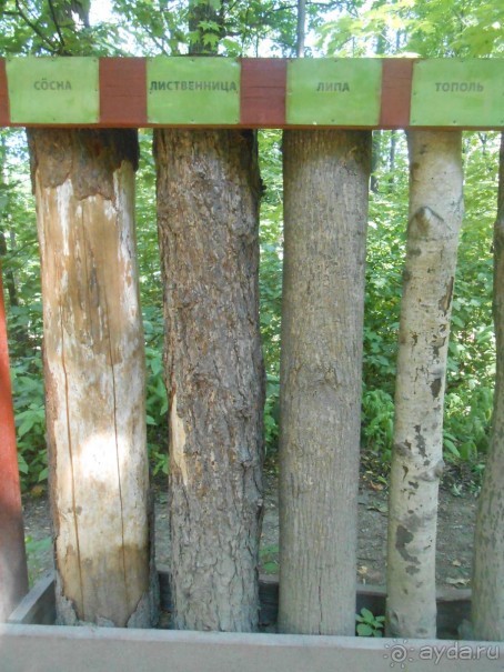 Прогулка по заказнику