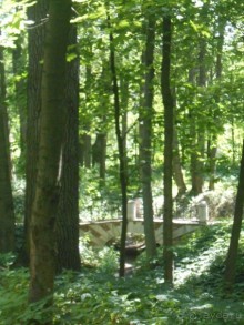 По дорожкам Царицыно