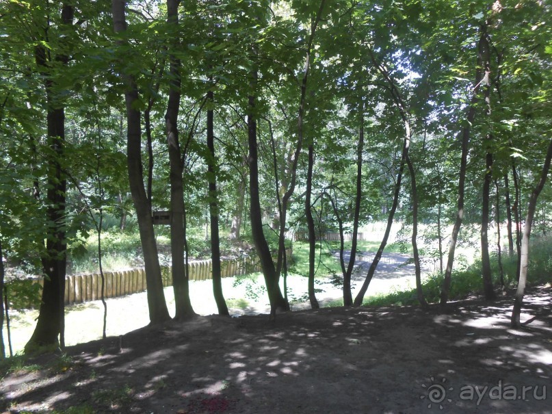 По дорожкам Царицыно