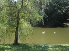 По дорожкам Царицыно