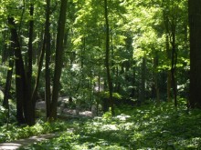 По дорожкам Царицыно