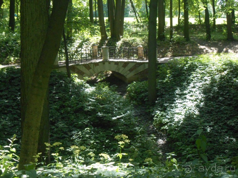 По дорожкам Царицыно По дорожкам Царицыно