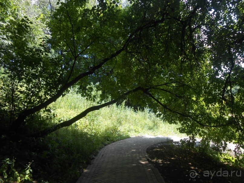 По дорожкам Царицыно По дорожкам Царицыно