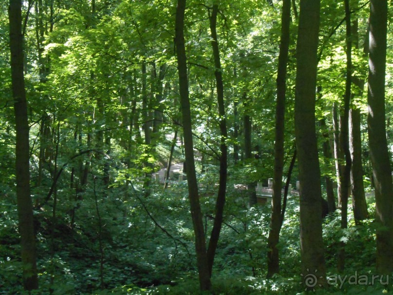 По дорожкам Царицыно По дорожкам Царицыно