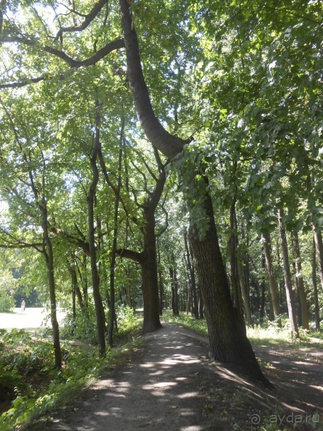 По дорожкам Царицыно По дорожкам Царицыно