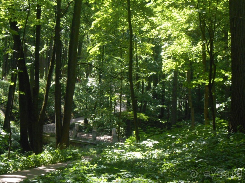 По дорожкам Царицыно По дорожкам Царицыно