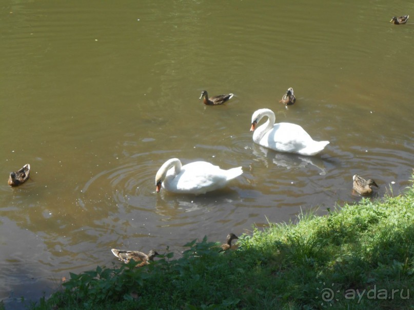 По дорожкам Царицыно По дорожкам Царицыно
