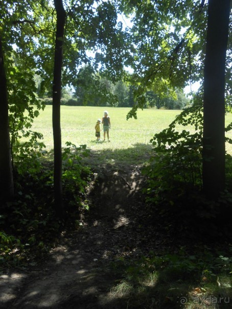 По дорожкам Царицыно По дорожкам Царицыно