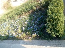 Каскад раскрывает свои тайны постепенно