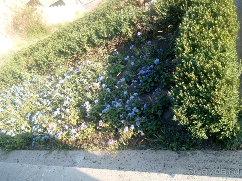 Каскад раскрывает свои тайны постепенно