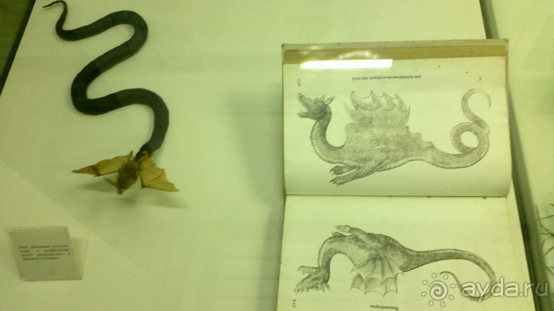 Дарвиновский музей