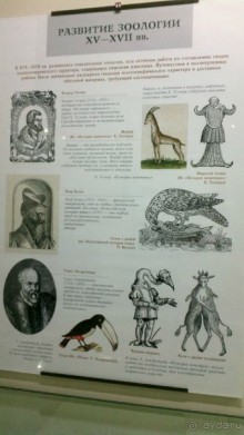 Дарвиновский музей