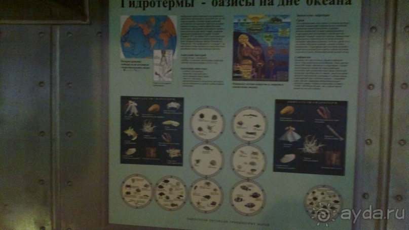 Дарвиновский музей