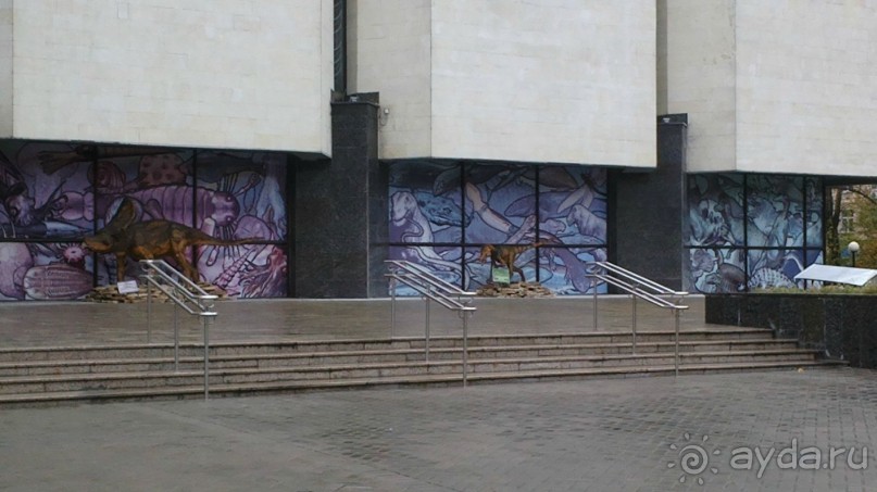 Дарвиновский музей