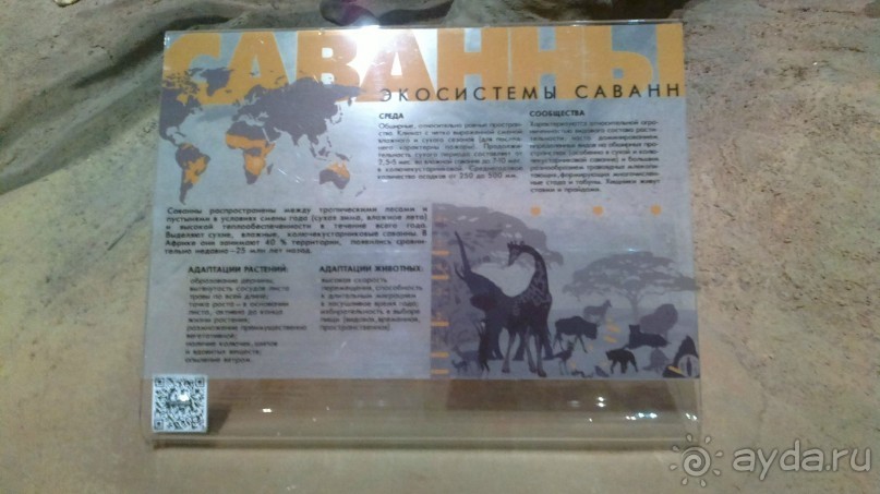 Дарвиновский музей