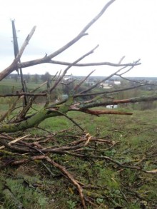 Можайск - Верея -Дуброво - Вышегород