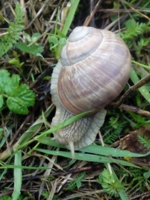 Можайск - Верея -Дуброво - Вышегород