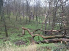 Можайск - Верея -Дуброво - Вышегород