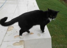 Можайск - Верея -Дуброво - Вышегород