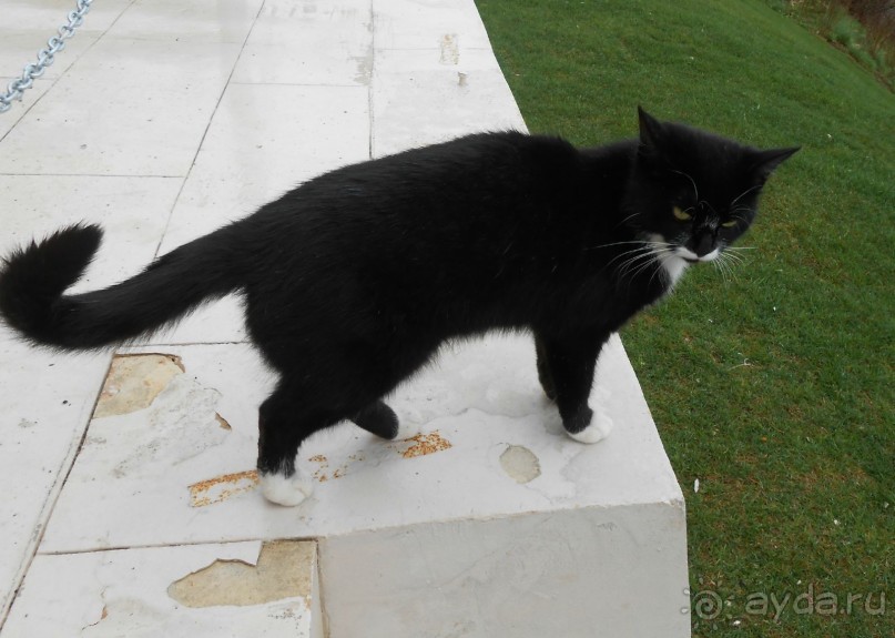 Можайск - Верея -Дуброво - Вышегород