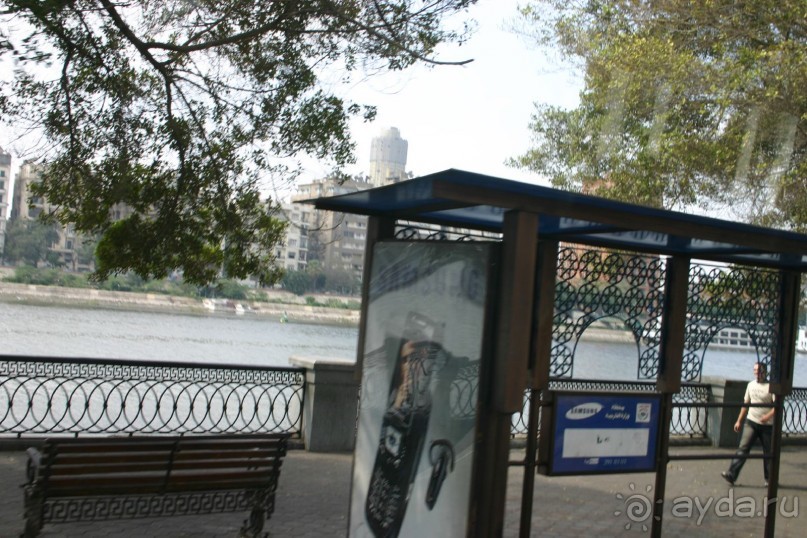 Каир  2005-6 год