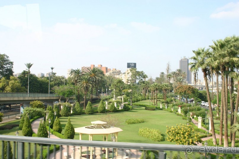 Каир  2005-6 год