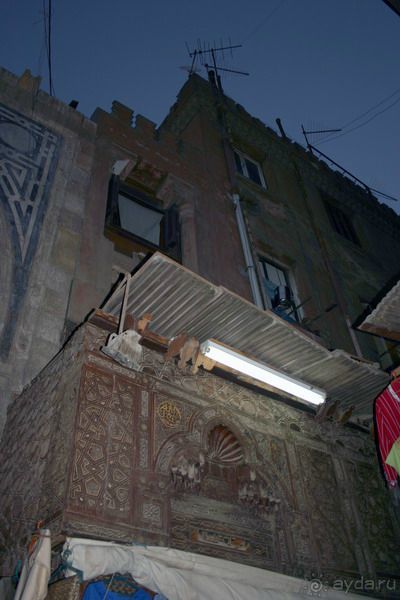 Каир  2005-6 год