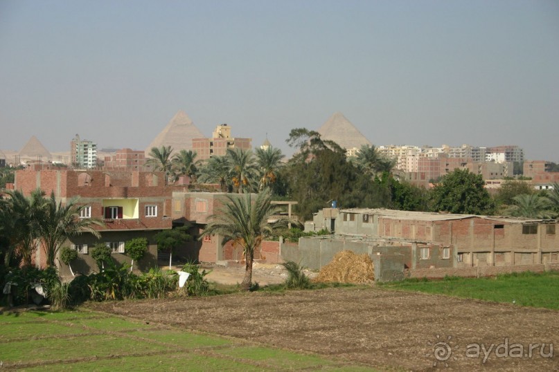 Каир  2005-6 год