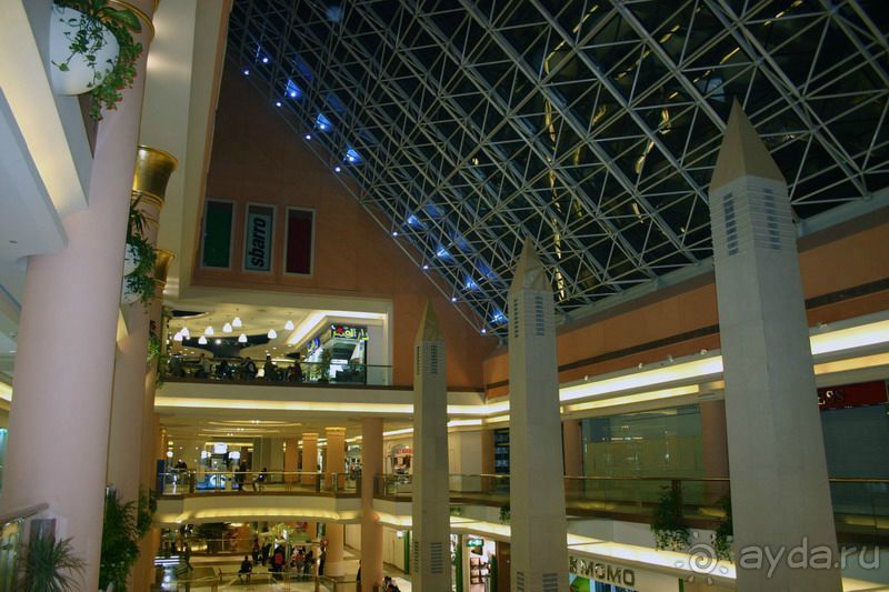 Каир  2005-6 год