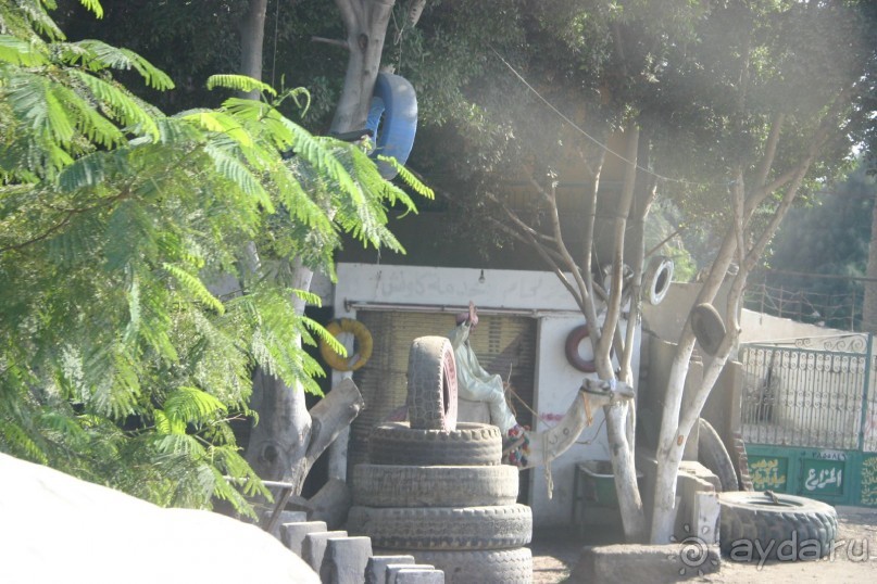 Каир  2005-6 год