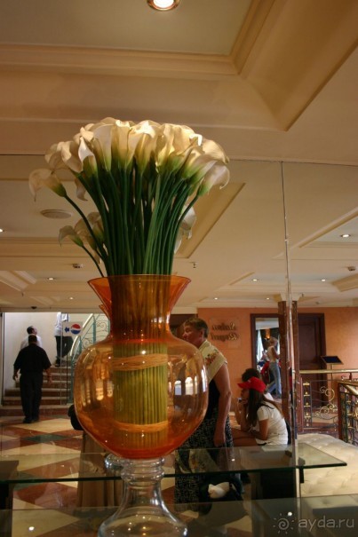 Каир  2005-6 год