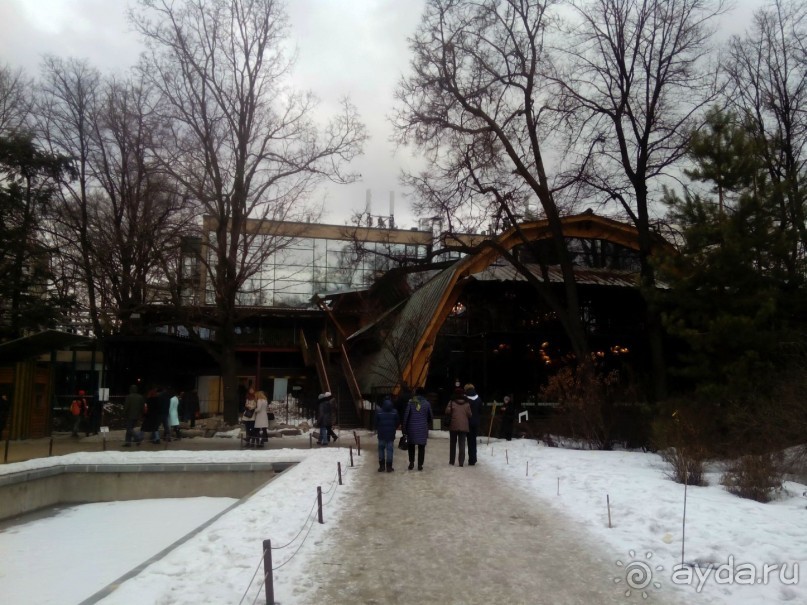 Репетиция весны в Аптекарском огороде