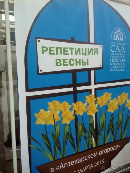 Репетиция весны в Аптекарском огороде