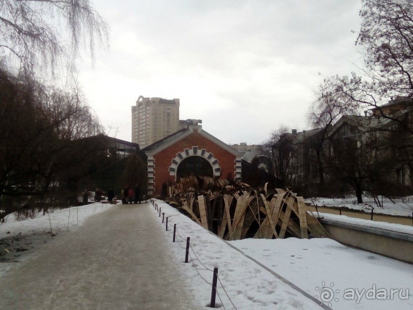 Репетиция весны в Аптекарском огороде