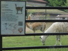 прогулка по новой территории