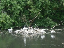 прогулка по новой территории