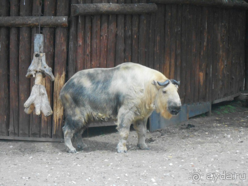 прогулка по новой территории