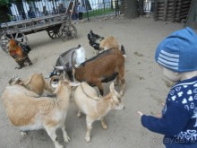 прогулка по новой территории